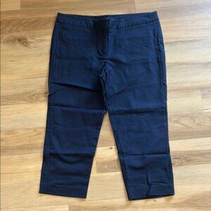 Blue Chinos Ankle Cropped Pants